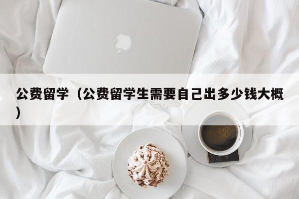 公费留学（公费留学生需要自己出多少钱大概）