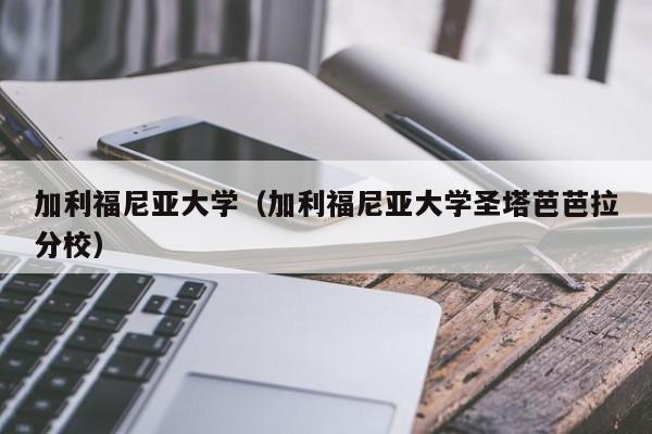 加利福尼亚大学（加利福尼亚大学圣塔芭芭拉分校）