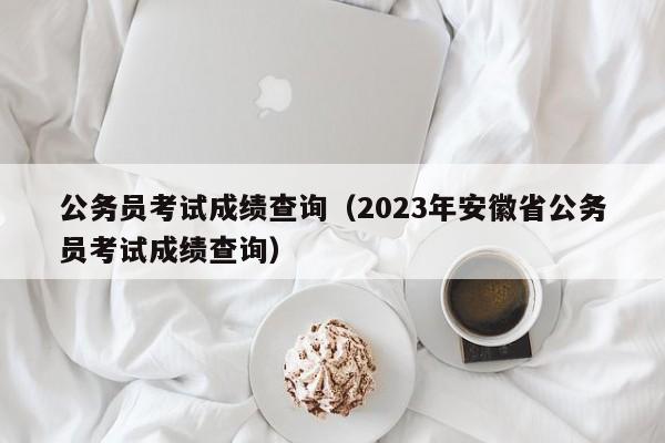 公务员考试成绩查询（2023年安徽省公务员考试成绩查询）