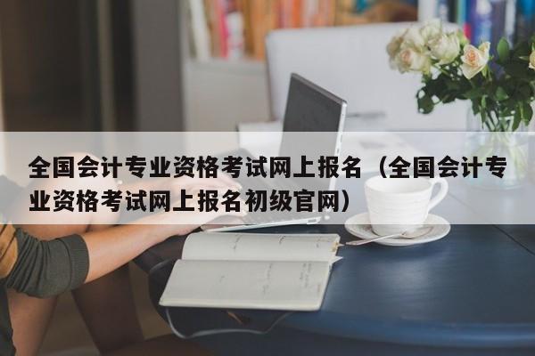 全国会计专业资格考试网上报名（全国会计专业资格考试网上报名初级官网）