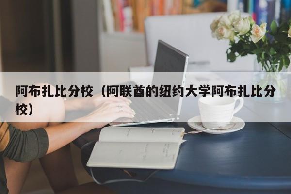 阿布扎比分校（阿联酋的纽约大学阿布扎比分校）