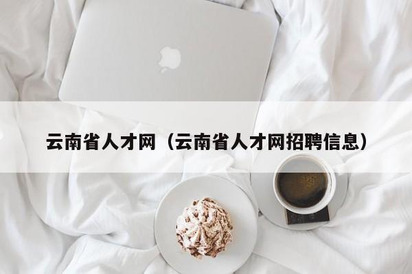 云南省人才网（云南省人才网招聘信息）