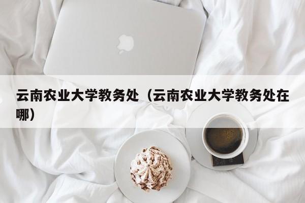 云南农业大学教务处（云南农业大学教务处在哪）