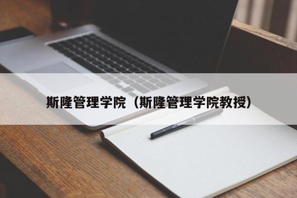 斯隆管理学院（斯隆管理学院教授）