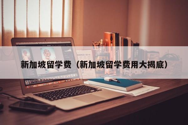 新加坡留学费（新加坡留学费用大揭底）