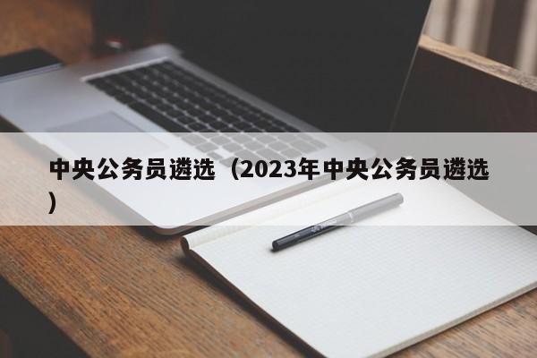 中央公务员遴选（2023年中央公务员遴选）