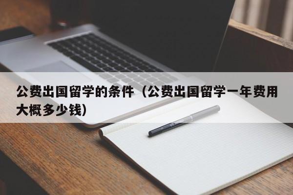 公费出国留学的条件（公费出国留学一年费用大概多少钱）