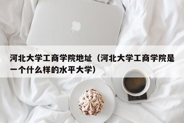 河北大学工商学院地址（河北大学工商学院是一个什么样的水平大学）