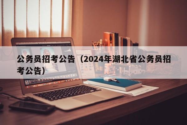 公务员招考公告（2024年湖北省公务员招考公告）